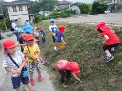 虫捕りをする幼児