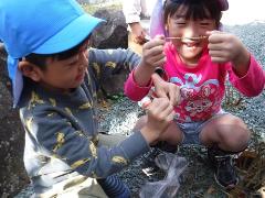 オオバコで遊ぶ幼児