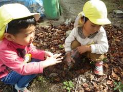 秋を探す幼児