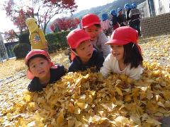 イチョウの葉で遊ぶ幼児