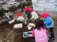 花の苗を植える幼児