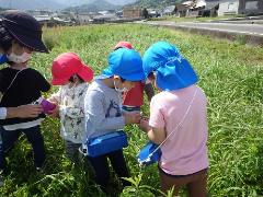 虫捕りをする幼児