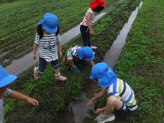 生き物探し