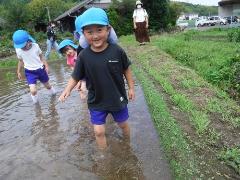 田んぼで遊ぶ幼児