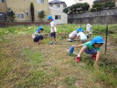 虫捕りをする様子