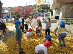 イチョウで遊ぶ幼児