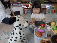 犬にごはんを食べさせている様子