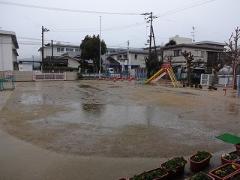 芝生は雨で水たまりができています
