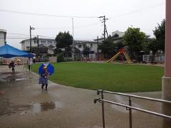 芝生を見ながら登園してきました