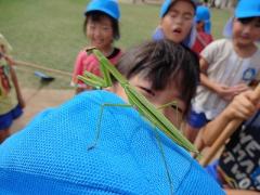 帽子の上にカマキリが！