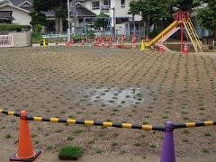 芝生の様子　6月18日