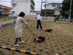 芝刈りの様子