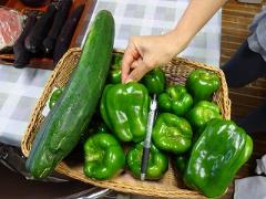 園の畑でとれた野菜