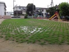 芝生の様子7月14日