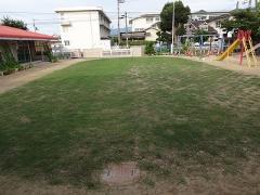 芝生の様子7月18日