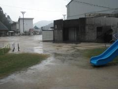 雨が降りました