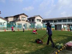 芝刈りと草抜きの様子