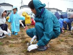 市長と芝生を植えている様子