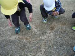 芝生を集める年少児