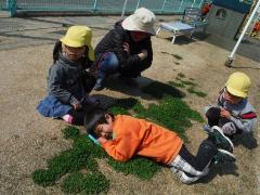 クローバーの上でくつろぐ幼児