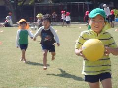 ラグビーボールで遊んでいる幼児の姿