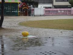 雨の中ラグビーボールが出ている様子