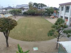 雨で緑が鮮やかになった芝生