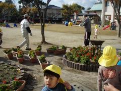 冬の花に模様替え中の園庭