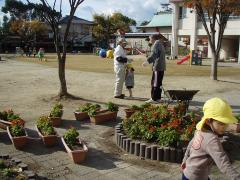 冬の花に模様替え中の園庭