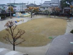 雨にうたれている芝生の様子