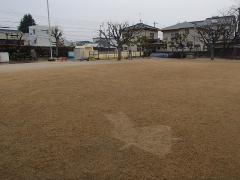 雨の降る園庭の様子