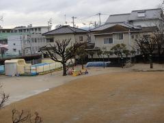 晴れ間がのぞく芝生の様子