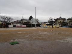 雨の芝生の様子