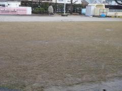 雨上がりの園庭