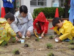 みんなで一緒に芝生植え