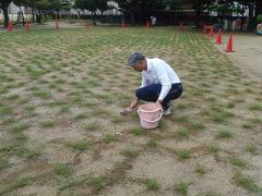 芝生に土を入れる園長先生