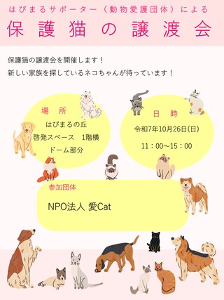 チラシ