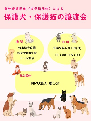 チラシ