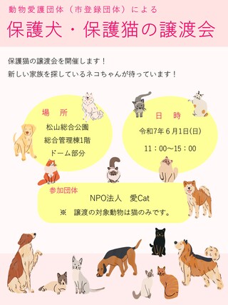 チラシ