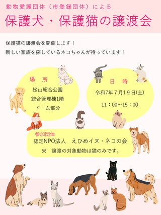 チラシ