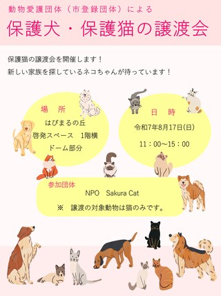 チラシ