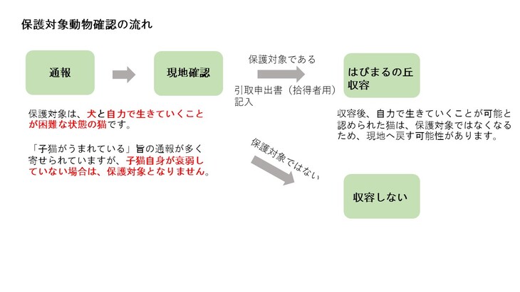 保護対象動物確認フロー