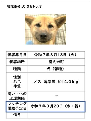 犬