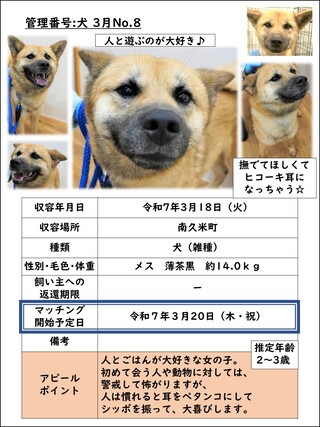 犬