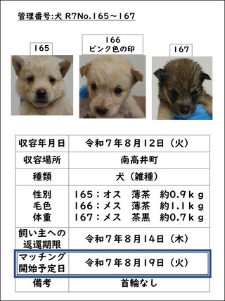 犬
