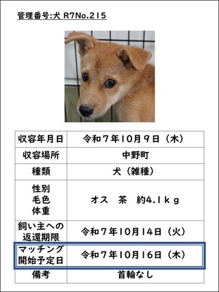 犬