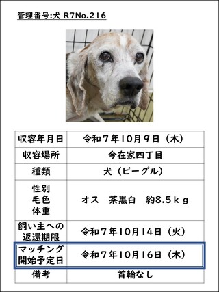 犬