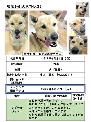 犬