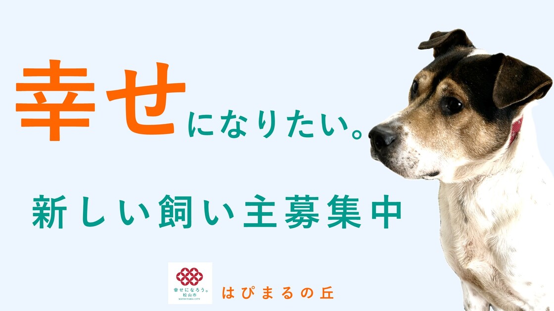 新しい飼い主募集中