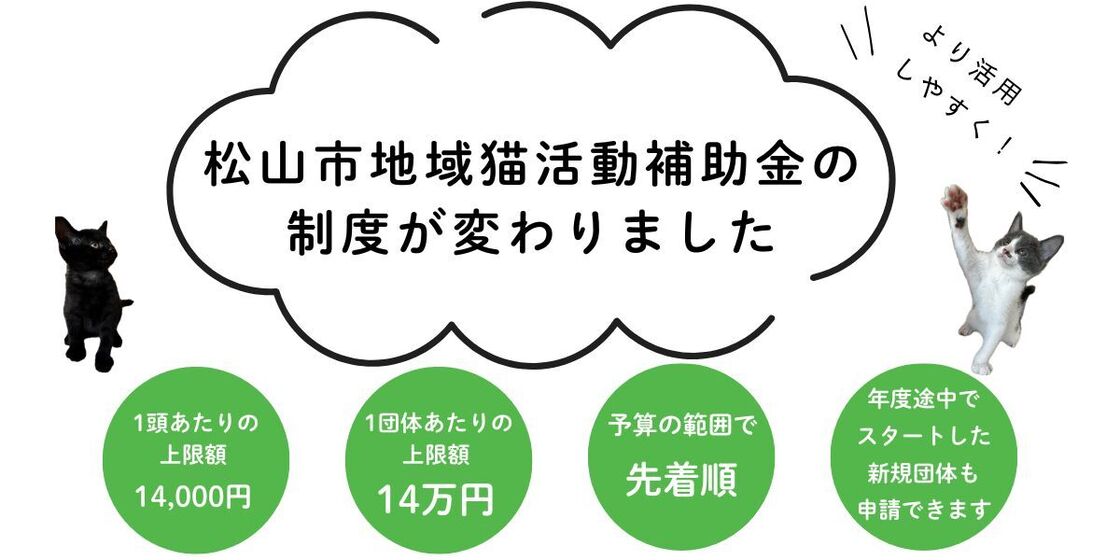 地域猫